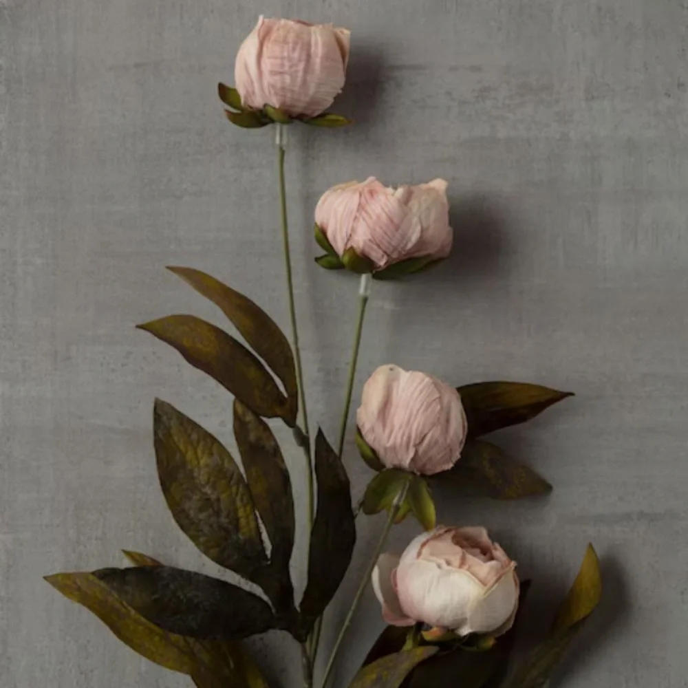 New Set of 8 Ashland by Michael’s 11.5” Tan Peony Stems - Picture 2 of 4